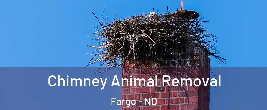  Chimney Animal Removal Fargo - ND