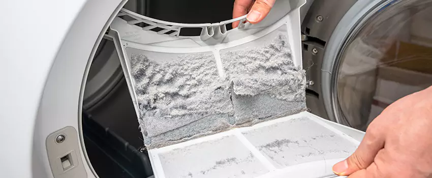 Best Dryer Lint Removal Company in Fargo, North Dakota
