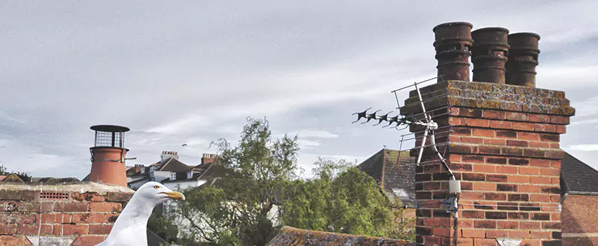 Chimney Cleaning And Restoration in Fargo, North Dakota