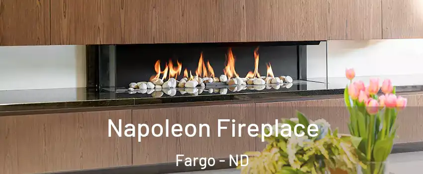  Napoleon Fireplace Fargo - ND